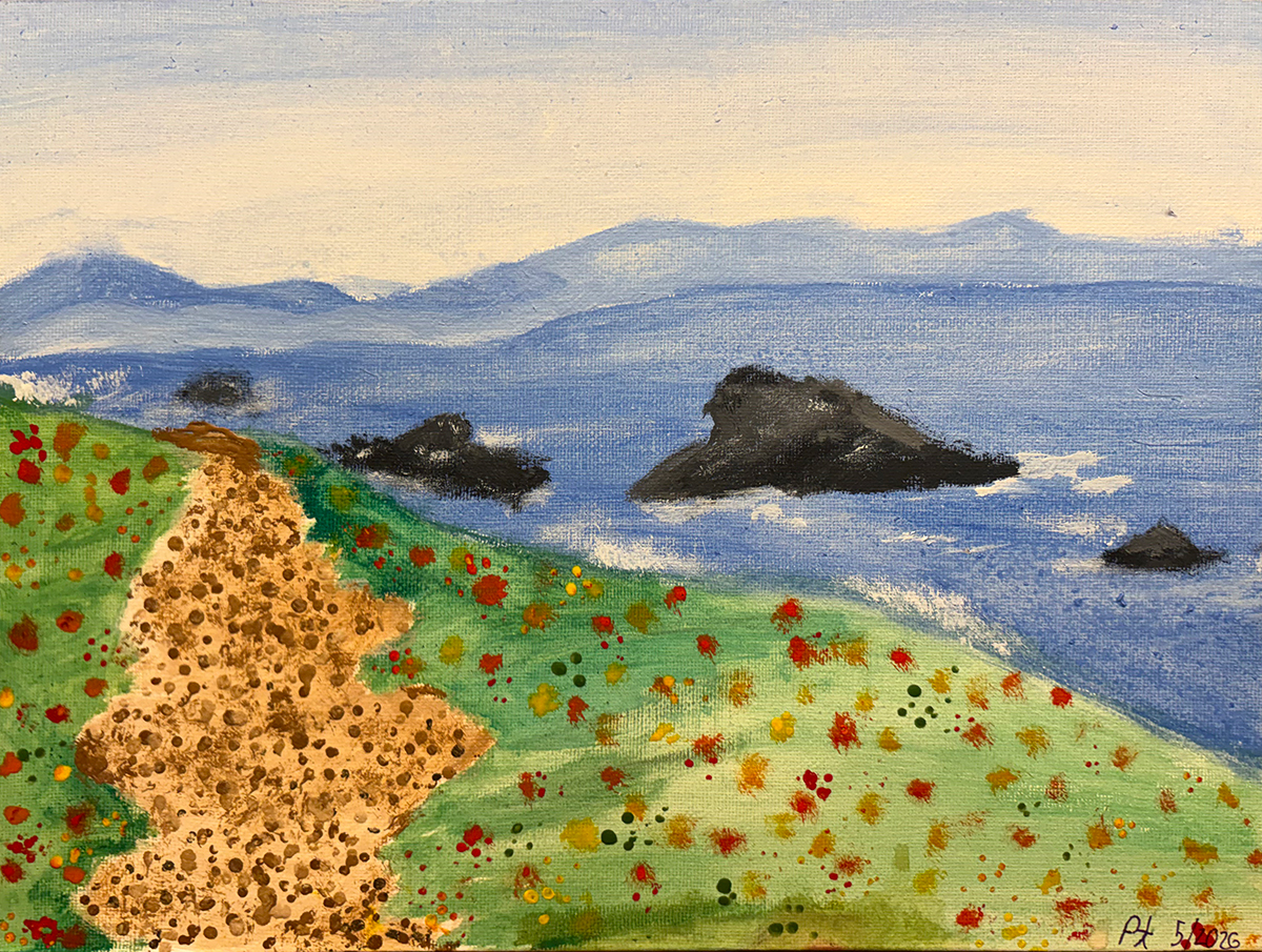 Dropping Meadows, by Poppy Thompson