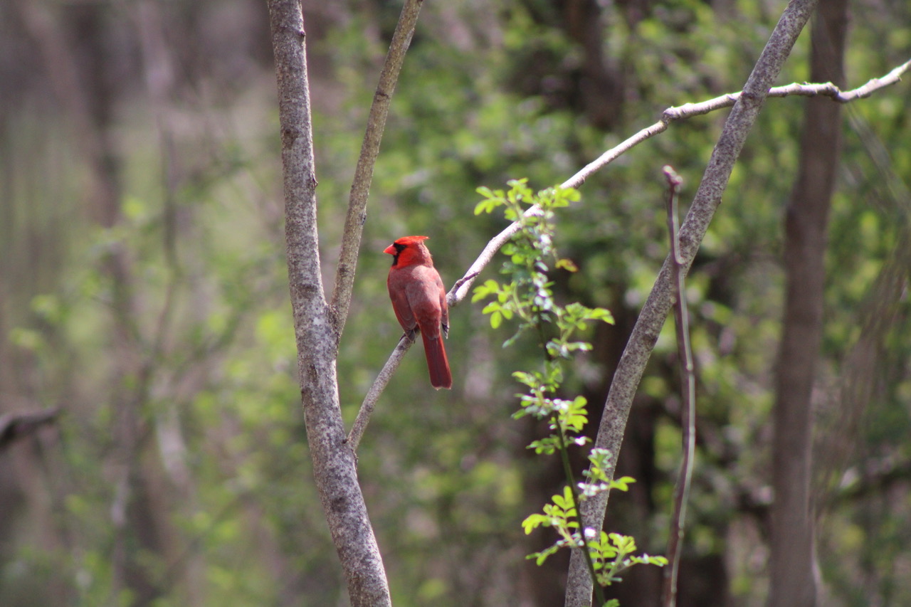 Nature’s Hidden Secrets — photograph by Henry Hart (4 of 4)