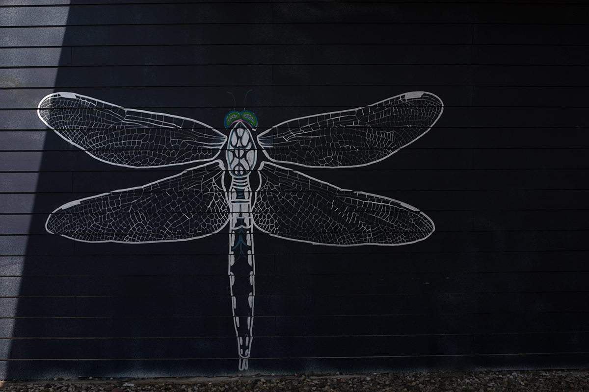 The Mural, by Micah Esteves Cooper